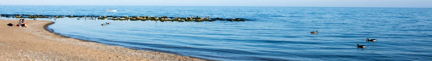 header16.jpg